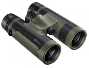 Prismático BUSHNELL R5 - 8x42